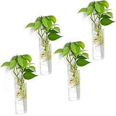 Vumdua pack glass for sale  Delivered anywhere in USA 