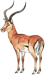 Samunshi impala antilope gebraucht kaufen  Wird an jeden Ort in Deutschland