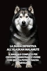 Guida definitiva all usato  Spedito ovunque in Italia 