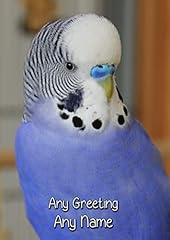 Personalised budgie greeting for sale  Delivered anywhere in UK