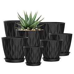Sqkh pack plant for sale  Delivered anywhere in USA 