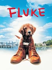 Fluke usato  Spedito ovunque in Italia 
