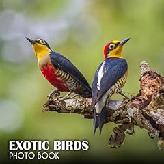 Exotic birds picture for sale  Delivered anywhere in UK