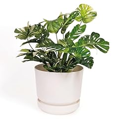 Elly décor inch for sale  Delivered anywhere in USA 