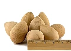 Dried egg gourds for sale  Delivered anywhere in USA 