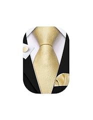 Barry.wang set cravatta usato  Spedito ovunque in Italia 