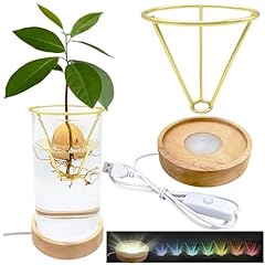Avocado vase avocado for sale  Delivered anywhere in USA 