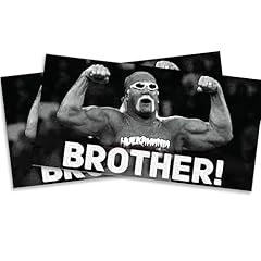 Brother rip hogan for sale  Delivered anywhere in USA 