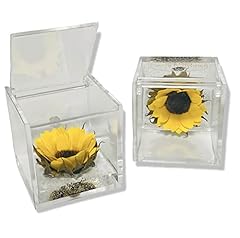 Cubo girasole stabilizzato usato  Spedito ovunque in Italia 