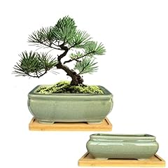 Muzhi 2pcs green for sale  Delivered anywhere in USA 