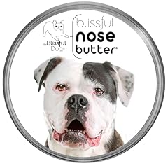 Blissful dog american for sale  Delivered anywhere in USA 