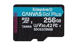 Kingston 256gb canvas for sale  Delivered anywhere in USA 