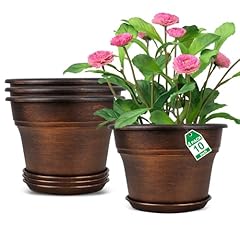 Inch planters plant for sale  Delivered anywhere in USA 