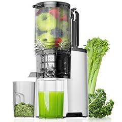Cold press juicer for sale  Delivered anywhere in USA 