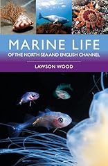 Marine life north for sale  Delivered anywhere in UK