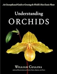 Understanding orchids uncompli for sale  Delivered anywhere in USA 