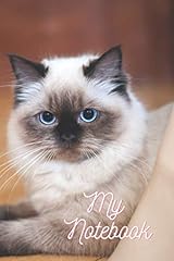 Ragdoll cats composition for sale  Delivered anywhere in UK