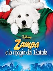 Zampa magia del usato  Spedito ovunque in Italia 