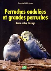 Perruches ondulées grandes d'occasion  Livré partout en Belgiqu