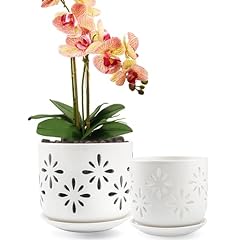 Litudiso orchid pot for sale  Delivered anywhere in USA 