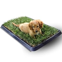 Kit cane petzolla usato  Spedito ovunque in Italia 