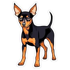 Miniature pinscher sticker for sale  Delivered anywhere in USA 