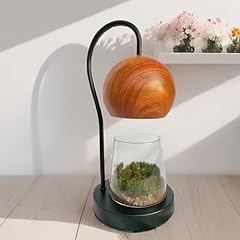 Tiny plant terrarium for sale  Delivered anywhere in USA 