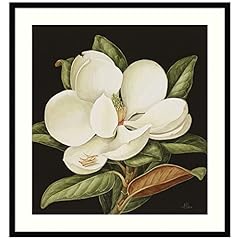 Amanti art framed for sale  Delivered anywhere in USA 