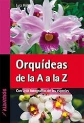 Orquideas orchids from usato  Spedito ovunque in Italia 