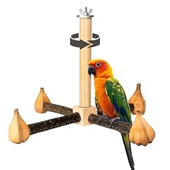 Agape rotating parrot for sale  Delivered anywhere in USA 