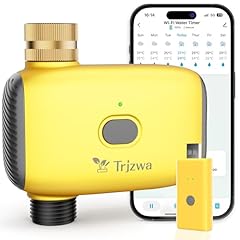 Trjzwa timer irrigazione usato  Spedito ovunque in Italia 