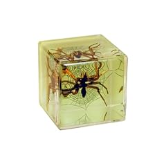 Realbug real spider for sale  Delivered anywhere in USA 