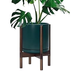 Vine dev ceramic for sale  Delivered anywhere in USA 
