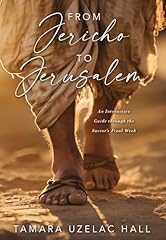 Jéricho jérusalem guide d'occasion  Livré partout en France
