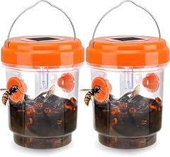 Wasp traps hunting for sale  Delivered anywhere in USA 