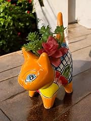 Talavera cat succulent for sale  Delivered anywhere in USA 