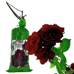 Acquaverde rosa nera usato  Spedito ovunque in Italia 