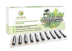 Biobob evergreen concime usato  Spedito ovunque in Italia 