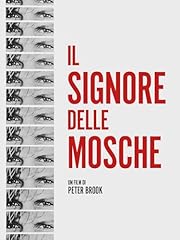 Signore delle mosche usato  Spedito ovunque in Italia 