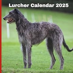 Lurcher calendar 2025 for sale  Delivered anywhere in UK