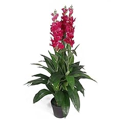 Leaf leaf 7076 for sale  Delivered anywhere in UK