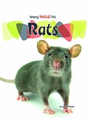 Rats for sale  Delivered anywhere in USA 
