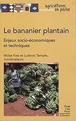 Bananier plantain enjeux d'occasion  Livré partout en Belgiqu