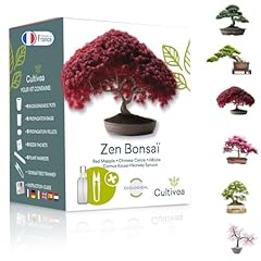 Bonsai starter kit gebraucht kaufen  Wird an jeden Ort in Deutschland