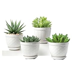 Sureasy ceramic plant for sale  Delivered anywhere in USA 