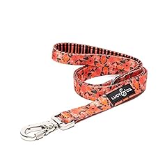 Lucy co. posy for sale  Delivered anywhere in USA 