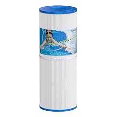 Toread replacement spa for sale  Delivered anywhere in USA 