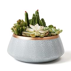 LA JOLIE MUSE Large Succulent Planter Pot, Ceramic for sale  Delivered anywhere in UK