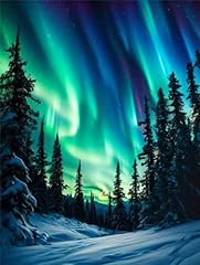 Diamond painting aurora gebraucht kaufen  Wird an jeden Ort in Deutschland