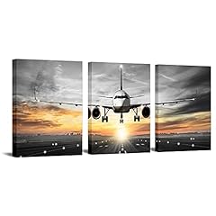 Ouelegent airplane canvas for sale  Delivered anywhere in USA 